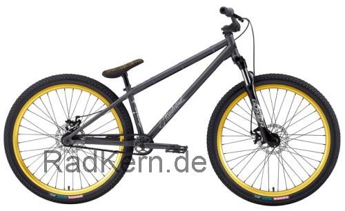 Eastern Thunderbird technische daten